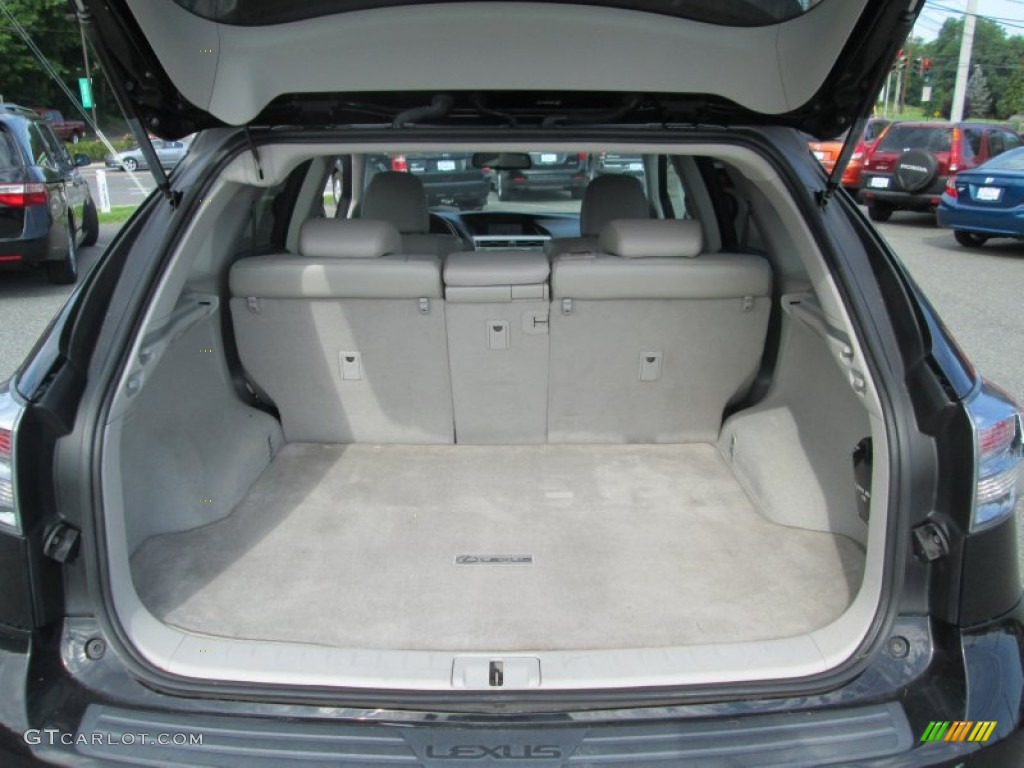 2010 RX 350 AWD - Black Sapphire Pearl / Light Gray/Espresso Birds-Eye Maple photo #19