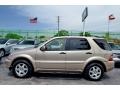 Desert Silver Metallic 2001 Mercedes-Benz ML 430 4Matic Exterior