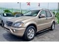 Desert Silver Metallic 2001 Mercedes-Benz ML 430 4Matic Exterior