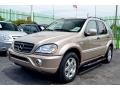 Desert Silver Metallic - ML 430 4Matic Photo No. 84