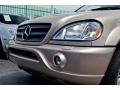 Desert Silver Metallic - ML 430 4Matic Photo No. 85