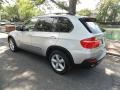 Titanium Silver Metallic - X5 3.0si Photo No. 3