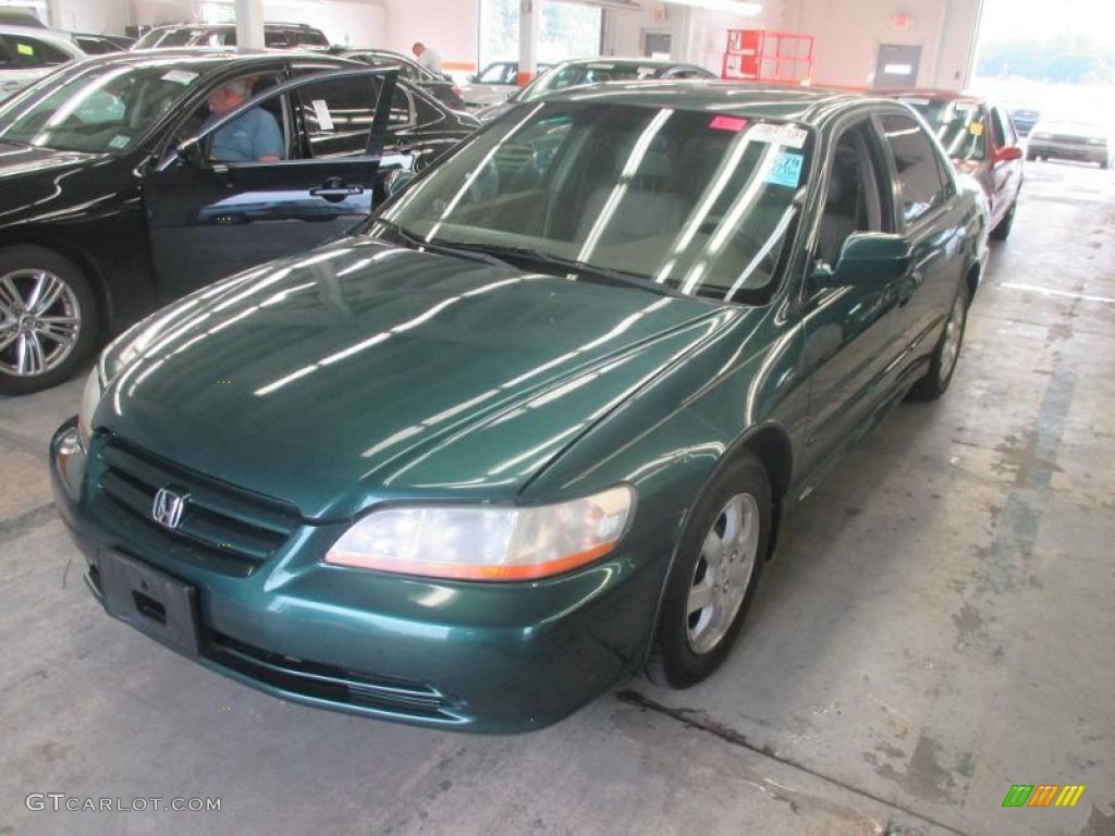 Noble Green Pearl Honda Accord