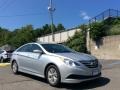 Radiant Silver - Sonata GLS Photo No. 3