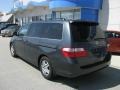 2005 Sage Brush Pearl Honda Odyssey EX  photo #4