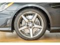 2015 Mercedes-Benz SLK 250 Roadster Wheel and Tire Photo