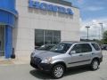 2006 Alabaster Silver Metallic Honda CR-V EX 4WD  photo #1