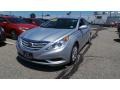Radiant Silver - Sonata GLS Photo No. 3