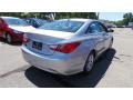 Radiant Silver - Sonata GLS Photo No. 6