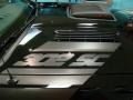2009 Black Ford Mustang Saleen H302 Dark Horse Coupe  photo #12