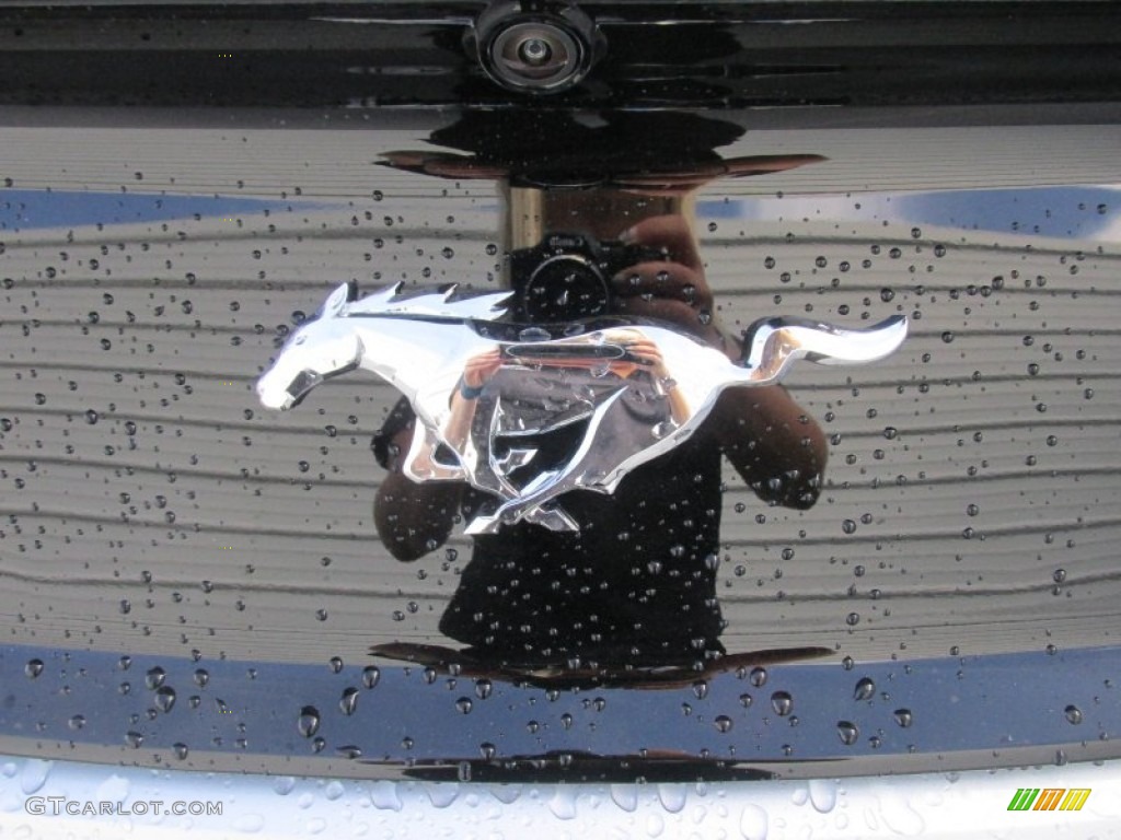 2015 Mustang EcoBoost Premium Coupe - Ingot Silver Metallic / Ebony photo #13