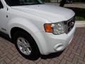 Oxford White - Escape Hybrid 4WD Photo No. 21