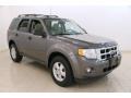 Sterling Gray Metallic 2012 Ford Escape XLT V6 4WD