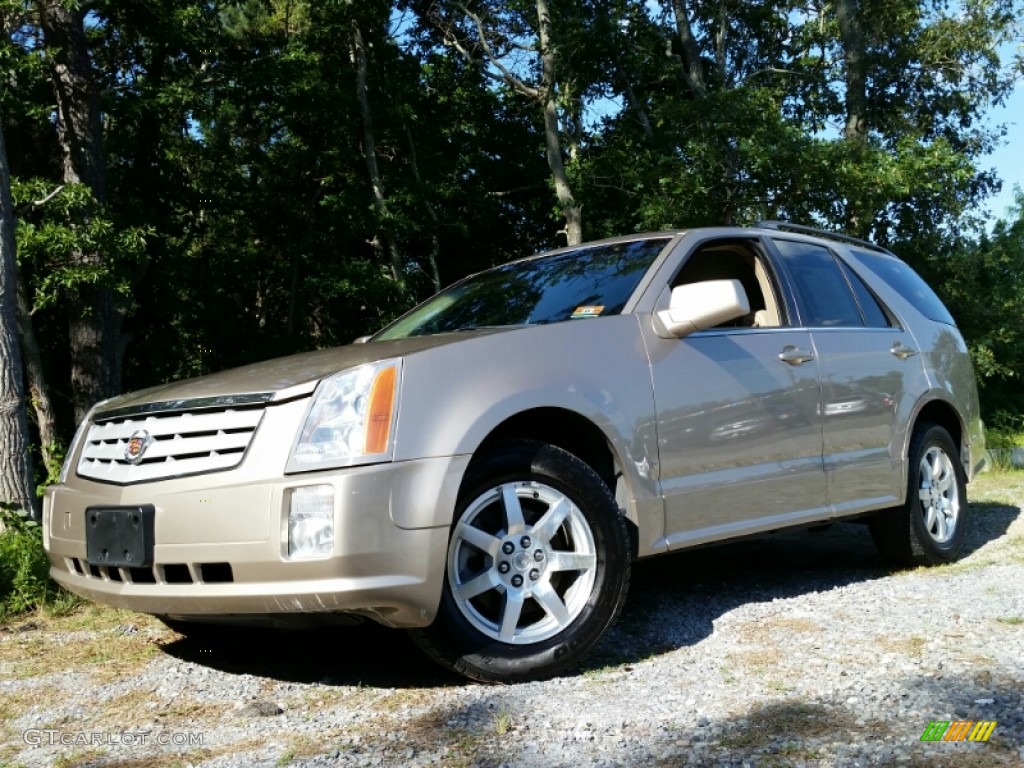 Sand Storm 2006 Cadillac SRX V6 Exterior Photo #105795405