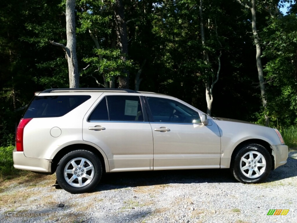 Sand Storm 2006 Cadillac SRX V6 Exterior Photo #105795480