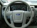 2009 Blue Flame Metallic Ford F150 XL Regular Cab  photo #18