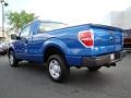 Blue Flame Metallic 2009 Ford F150 XL Regular Cab Exterior