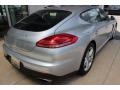 Rhodium Silver Metallic - Panamera  Photo No. 9