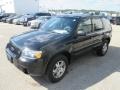 2005 Black Ford Escape Limited 4WD  photo #8