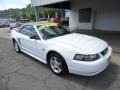 Oxford White - Mustang V6 Convertible Photo No. 9