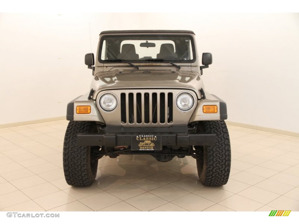 2004 Wrangler X 4x4 - Light Khaki Metallic / Khaki photo #2