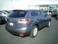 Liquid Platinum Metallic - CX-9 Sport Photo No. 6