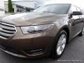 2015 Caribou Metallic Ford Taurus SEL  photo #32