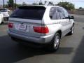 2003 Titanium Silver Metallic BMW X5 4.4i  photo #4