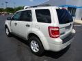 2008 Light Sage Metallic Ford Escape XLT  photo #3