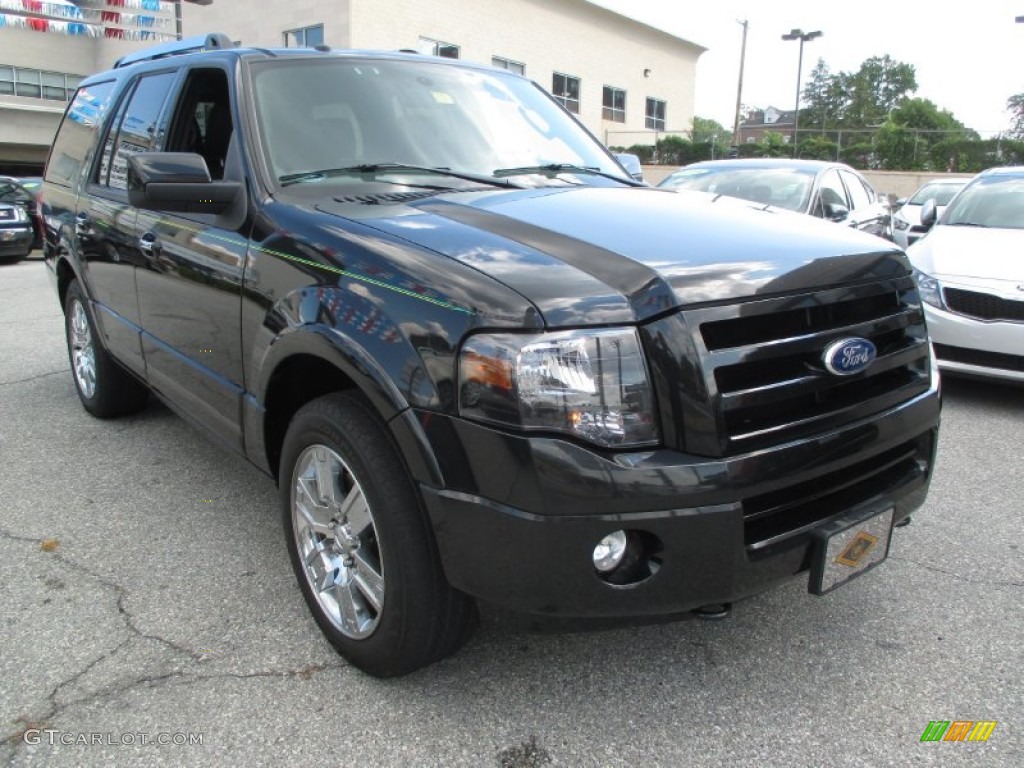 2010 Expedition Limited 4x4 - Tuxedo Black / Charcoal Black photo #8