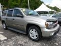 Light Pewter Metallic 2002 Chevrolet TrailBlazer EXT LT 4x4 Exterior