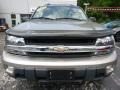 Light Pewter Metallic - TrailBlazer EXT LT 4x4 Photo No. 8