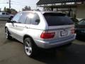 2003 Titanium Silver Metallic BMW X5 4.4i  photo #3