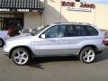 2003 Titanium Silver Metallic BMW X5 4.4i  photo #5