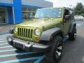 Jeep Green Metallic - Wrangler X 4x4 Photo No. 16