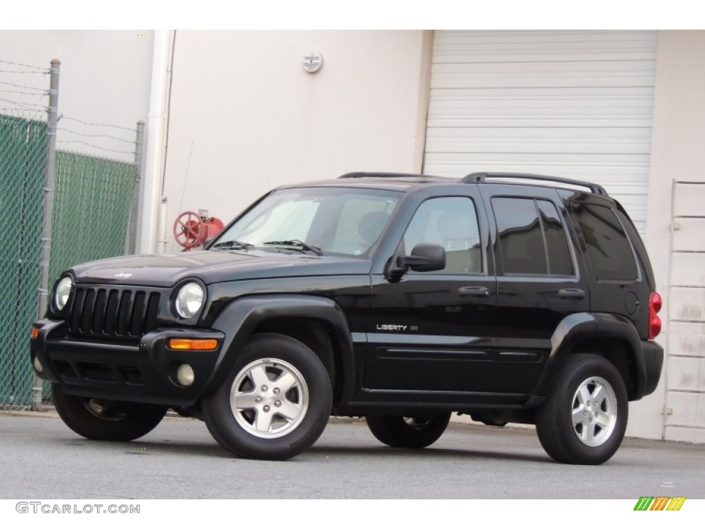2003 Liberty Limited - Black Clearcoat / Light Taupe/Dark Slate Gray photo #2