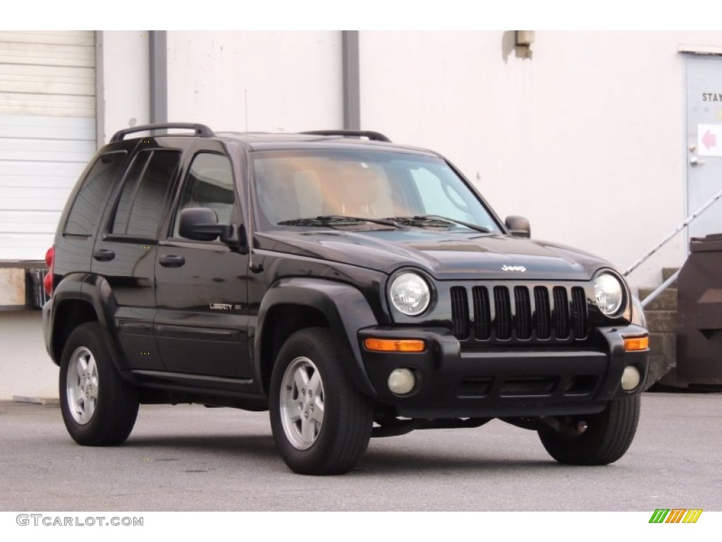 2003 Liberty Limited - Black Clearcoat / Light Taupe/Dark Slate Gray photo #3