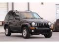 2003 Black Clearcoat Jeep Liberty Limited  photo #3