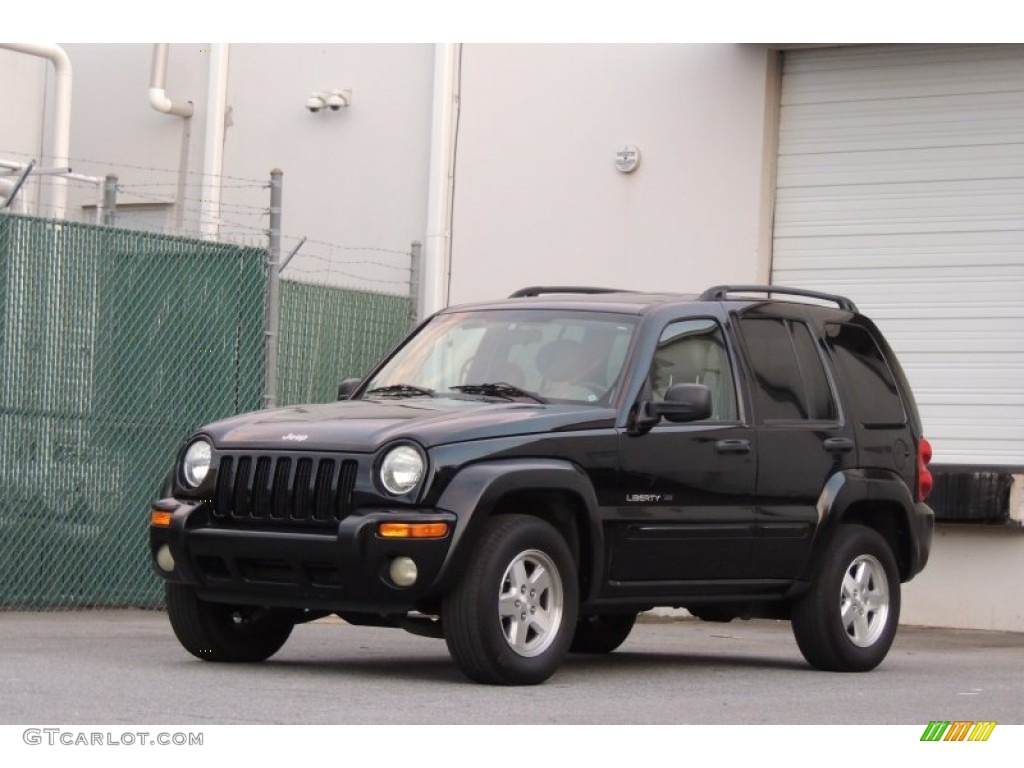 2003 Liberty Limited - Black Clearcoat / Light Taupe/Dark Slate Gray photo #4