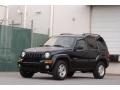 2003 Black Clearcoat Jeep Liberty Limited  photo #4