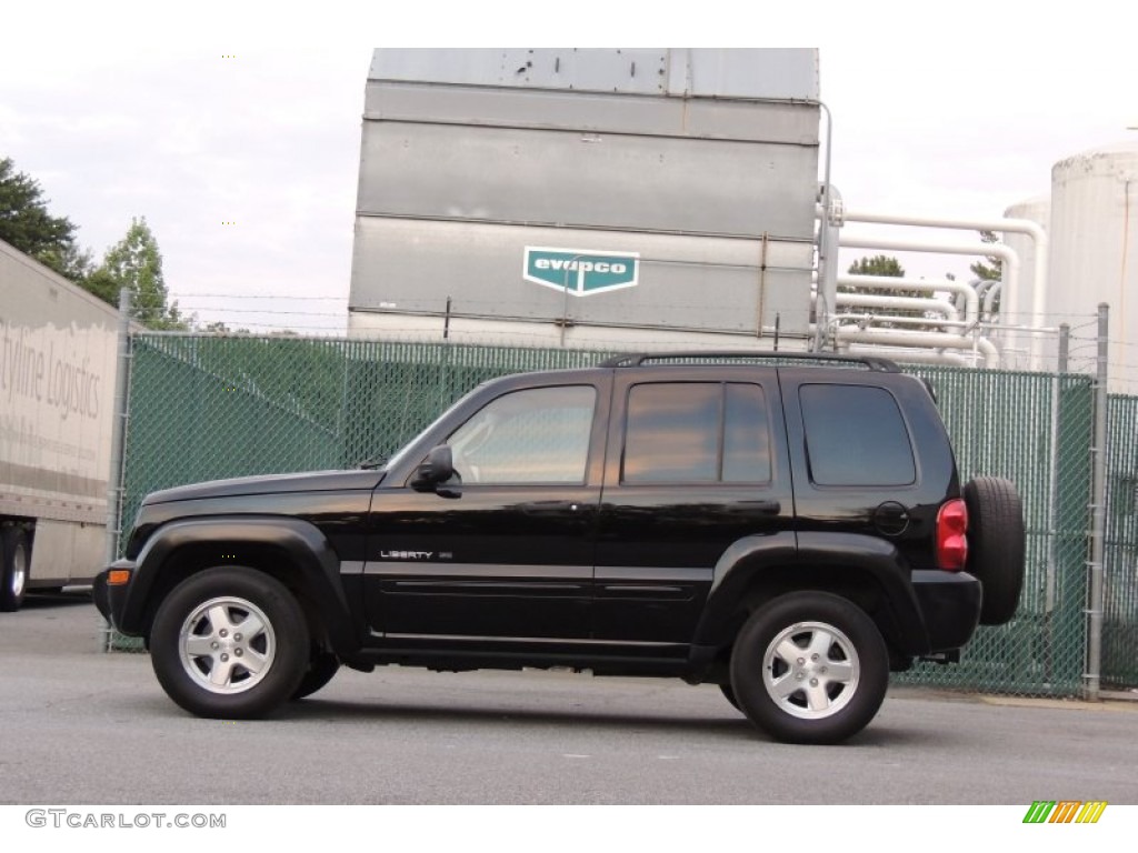 2003 Liberty Limited - Black Clearcoat / Light Taupe/Dark Slate Gray photo #5