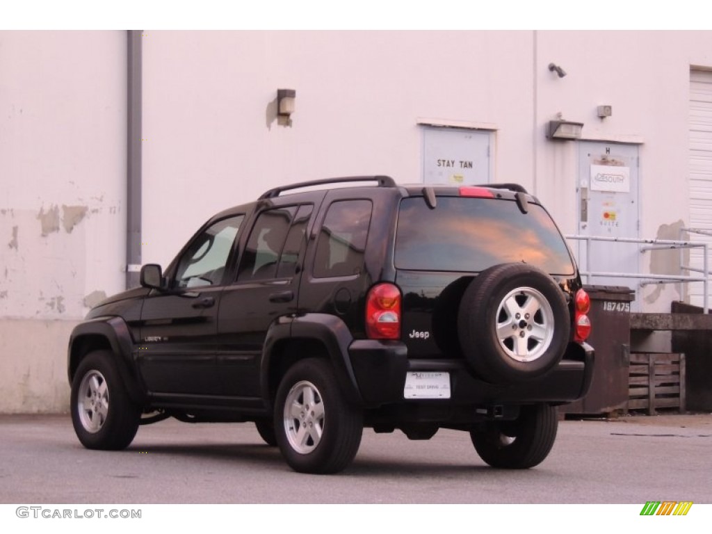 2003 Liberty Limited - Black Clearcoat / Light Taupe/Dark Slate Gray photo #7