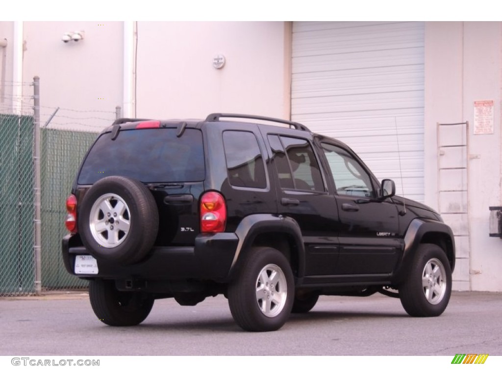 2003 Liberty Limited - Black Clearcoat / Light Taupe/Dark Slate Gray photo #8