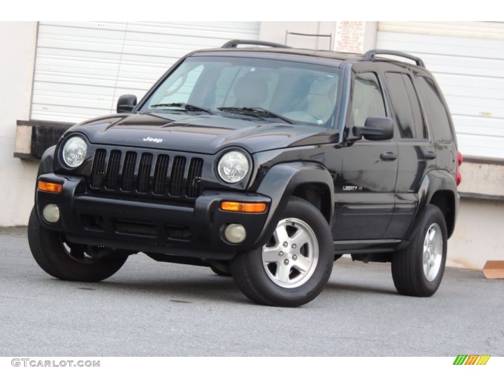 2003 Liberty Limited - Black Clearcoat / Light Taupe/Dark Slate Gray photo #17
