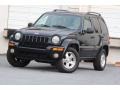 2003 Black Clearcoat Jeep Liberty Limited  photo #17