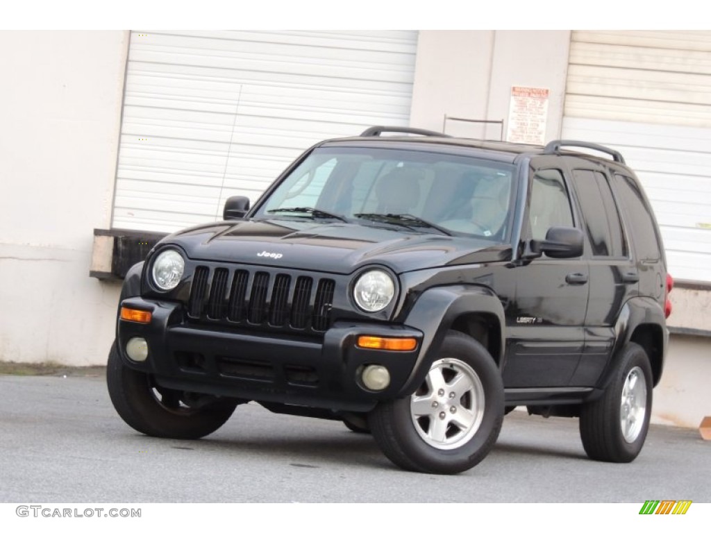 2003 Liberty Limited - Black Clearcoat / Light Taupe/Dark Slate Gray photo #18