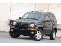 2003 Black Clearcoat Jeep Liberty Limited  photo #18