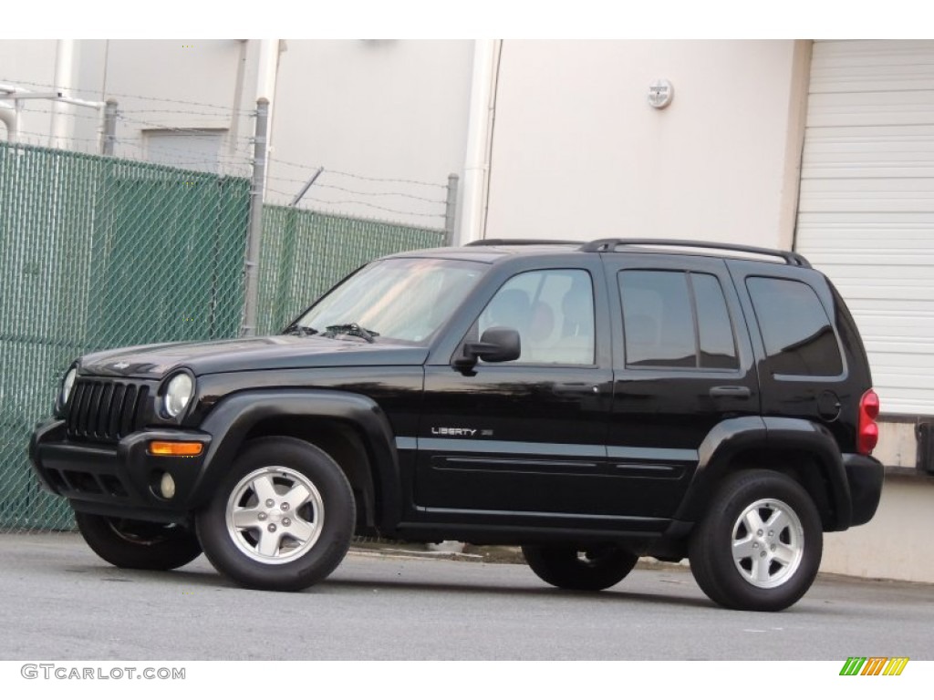 2003 Liberty Limited - Black Clearcoat / Light Taupe/Dark Slate Gray photo #19