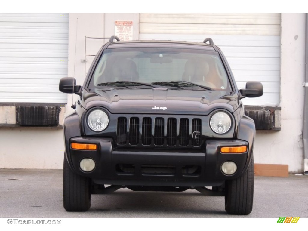 2003 Liberty Limited - Black Clearcoat / Light Taupe/Dark Slate Gray photo #20