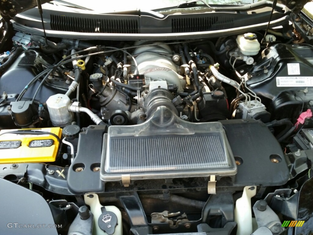 2002 Firebird Trans Am Coupe - Black / Ebony Black photo #25